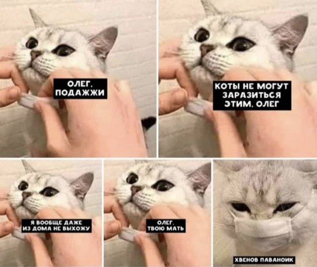 "Не знаю как насчет похудеть, но вот выжить к лету хотелось бы": пользователи в Сети шутят (17 фото)