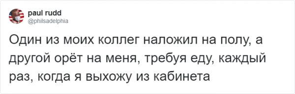 Тред в Твиттере: пользователи на карантине, описывают своих питомцев, будто это их коллеги (18 фото + 3 видео) Тред в Твиттере: пользователи на карантине, описывают своих питомцев, будто это их коллеги (18 фото + 3 видео)