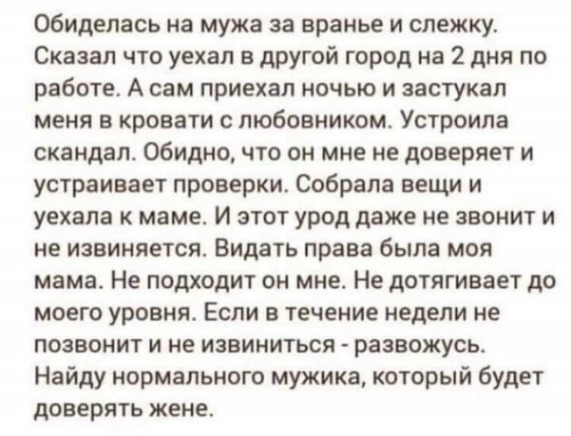 Не самые адекватные и наглые пользователи Интернета (15 фото)