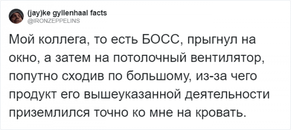 Тред в Твиттере: пользователи на карантине, описывают своих питомцев, будто это их коллеги (18 фото + 3 видео) Тред в Твиттере: пользователи на карантине, описывают своих питомцев, будто это их коллеги (18 фото + 3 видео)
