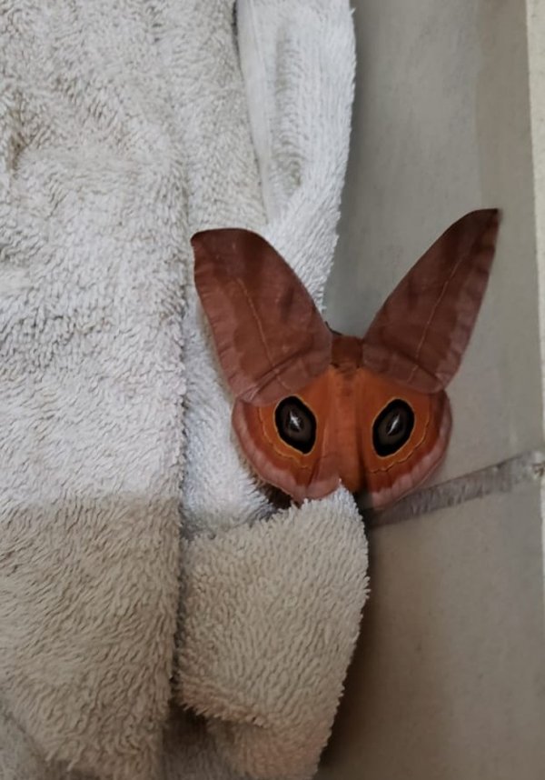 Подборка фото, в которые надо как следует вглядеться (18 фото) Подборка фото, в которые надо как следует вглядеться (18 фото)