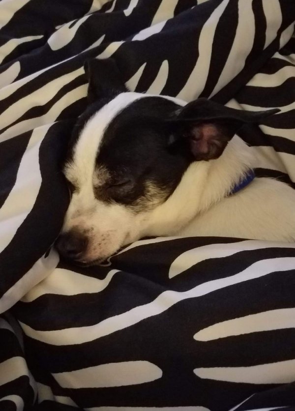 Подборка фото, в которые надо как следует вглядеться (18 фото) Подборка фото, в которые надо как следует вглядеться (18 фото)