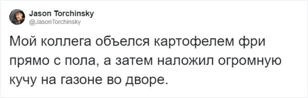 Тред в Твиттере: пользователи на карантине, описывают своих питомцев, будто это их коллеги (18 фото + 3 видео) Тред в Твиттере: пользователи на карантине, описывают своих питомцев, будто это их коллеги (18 фото + 3 видео)