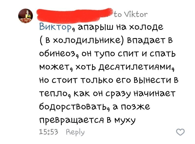 Все, кто не "болеет" коронтинам - идите всадницу (21 фото) Все, кто не "болеет" коронтинам - идите всадницу (21 фото)