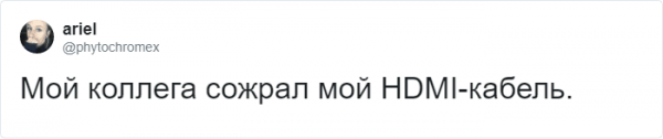 Тред в Твиттере: пользователи на карантине, описывают своих питомцев, будто это их коллеги (18 фото + 3 видео) Тред в Твиттере: пользователи на карантине, описывают своих питомцев, будто это их коллеги (18 фото + 3 видео)