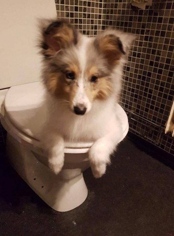 Подборка фото, в которые надо как следует вглядеться (18 фото) Подборка фото, в которые надо как следует вглядеться (18 фото)