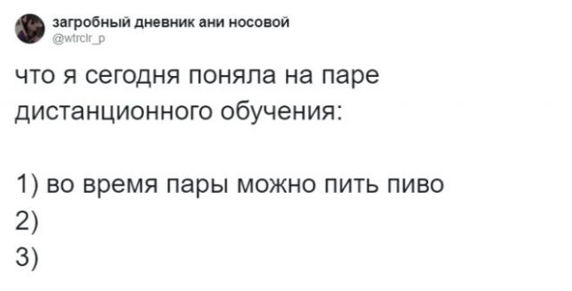 Шутки про дистанционное обучение (15 фото)