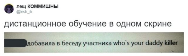 Шутки про дистанционное обучение (15 фото)