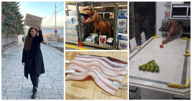 Жизнь во время карантина: народный креатив (19 фото)