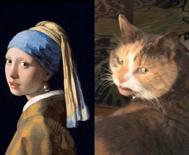 Пользователи по всему миру повторяют мировые шедевры, используя подручные средства (10 фото)