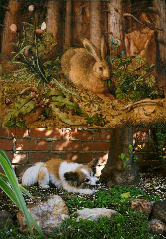 Пользователи по всему миру повторяют мировые шедевры, используя подручные средства (10 фото)