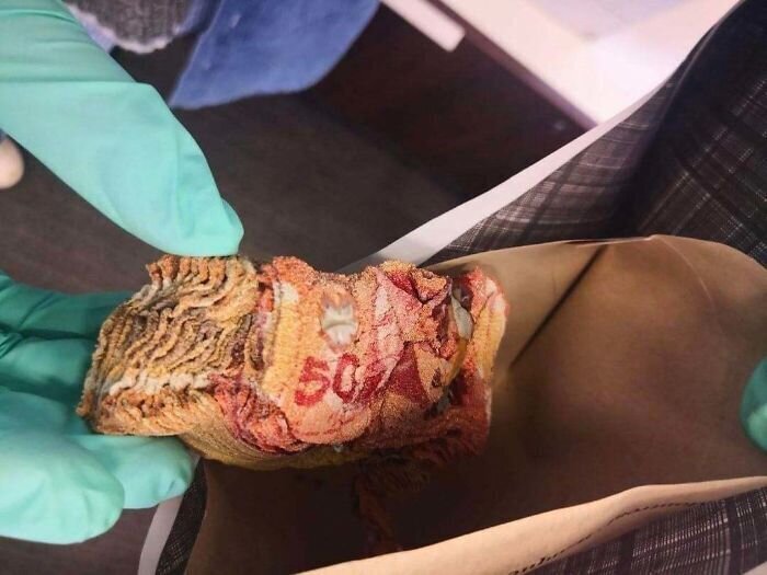 Хотели как лучше, получилось как всегда: самые идиотские способы борьбы с коронавирусом (37 фото)