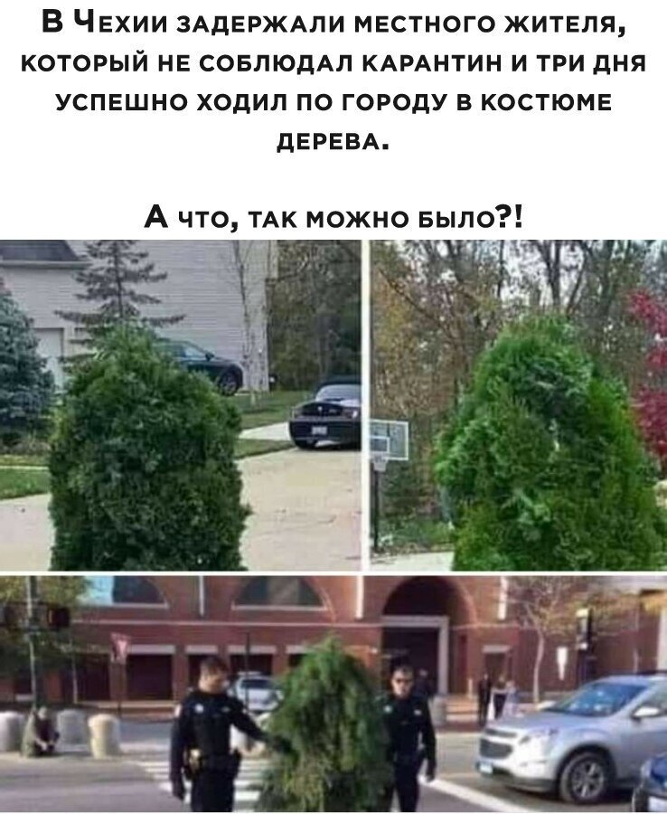 Жизнь во время карантина: народный креатив (19 фото)