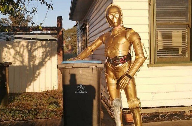 Выход к мусорке - целое представление. Австралийцы придумали себе развлечение на карантине (24 фото + видео)