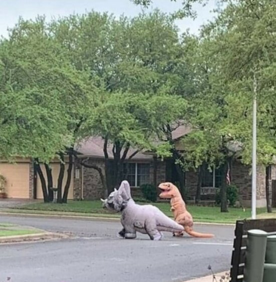 Жизнь во время карантина: народный креатив (19 фото)