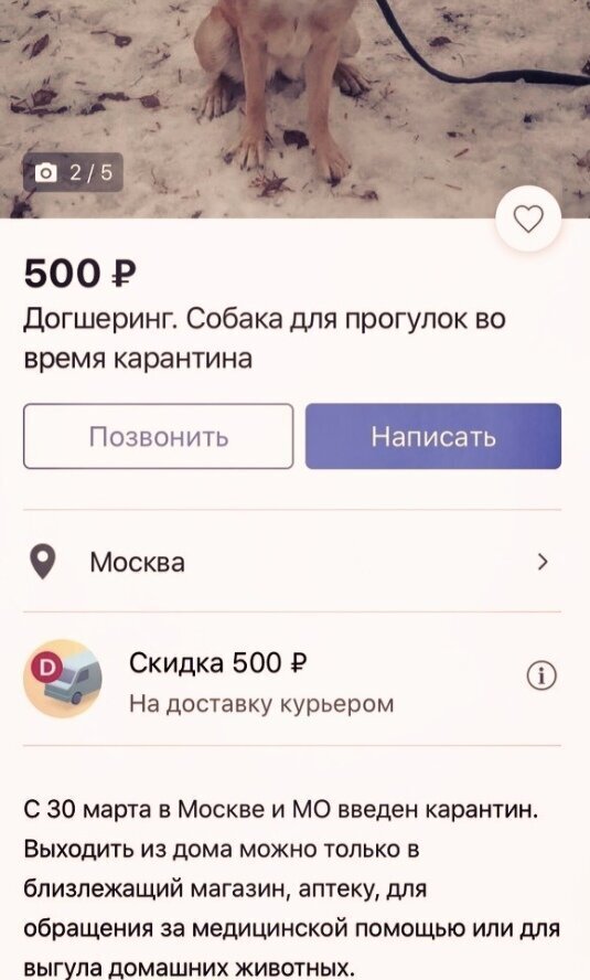 Жизнь во время карантина: народный креатив (19 фото)