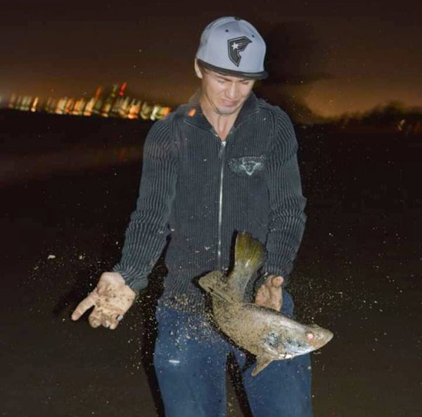 Снимки, сделанные в правильный момент (18 фото) Снимки, сделанные в правильный момент (18 фото)