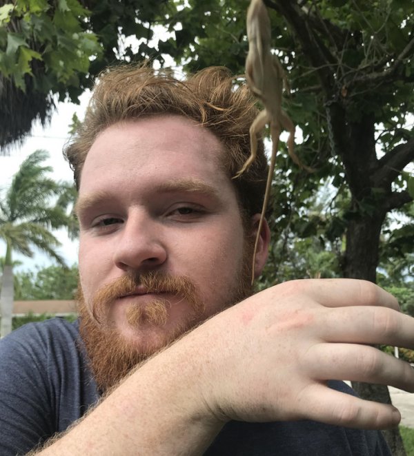 Снимки, сделанные в правильный момент (18 фото) Снимки, сделанные в правильный момент (18 фото)