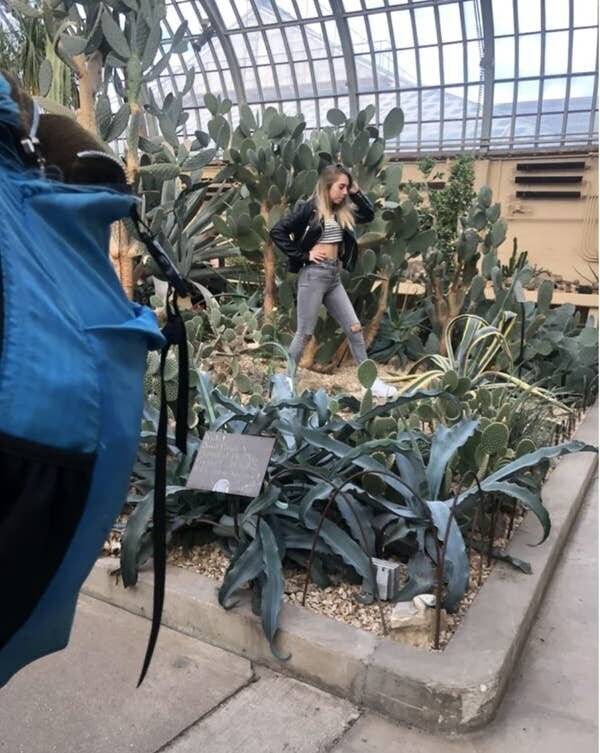 17 снимков, доказывающих, как хорошо сидеть дома! (18 фото) 17 снимков, доказывающих, как хорошо сидеть дома! (18 фото)