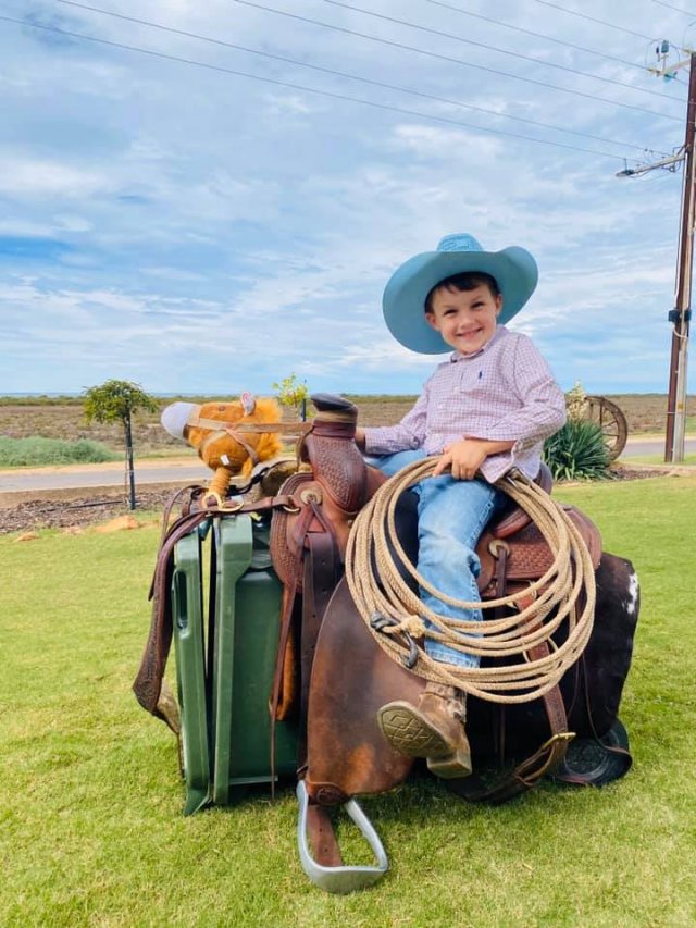 Выход к мусорке - целое представление. Австралийцы придумали себе развлечение на карантине (24 фото + видео)