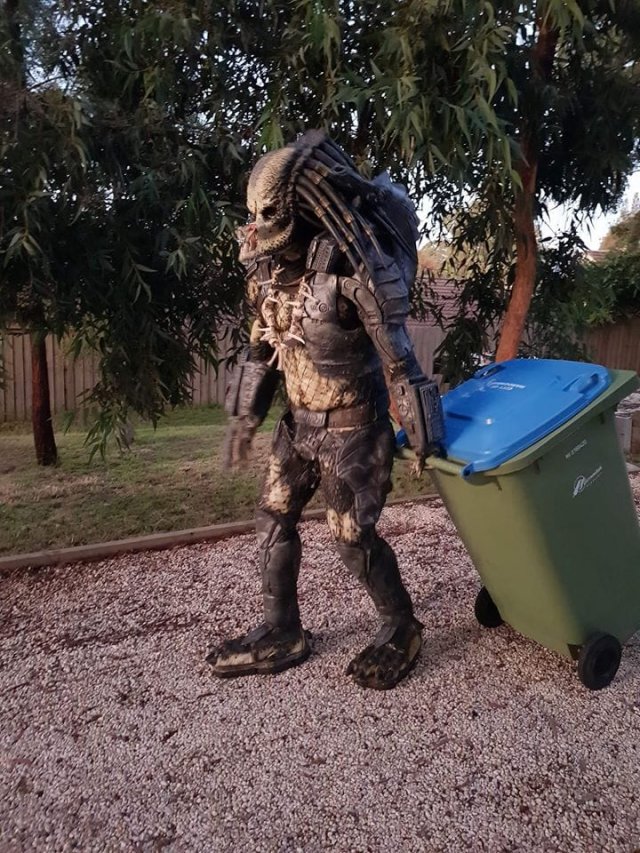 Выход к мусорке - целое представление. Австралийцы придумали себе развлечение на карантине (24 фото + видео)