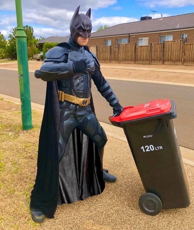 Выход к мусорке - целое представление. Австралийцы придумали себе развлечение на карантине (24 фото + видео)