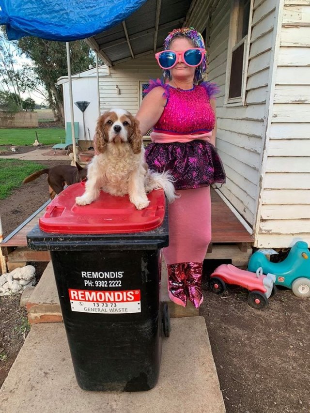 Выход к мусорке - целое представление. Австралийцы придумали себе развлечение на карантине (24 фото + видео)