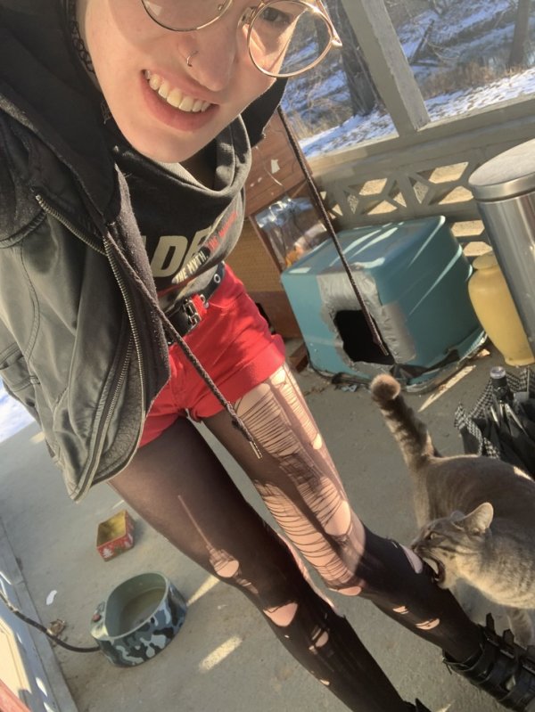 Снимки, сделанные в правильный момент (18 фото) Снимки, сделанные в правильный момент (18 фото)