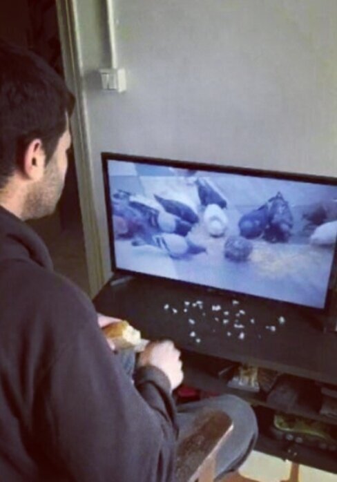 Жизнь во время карантина: народный креатив (19 фото)