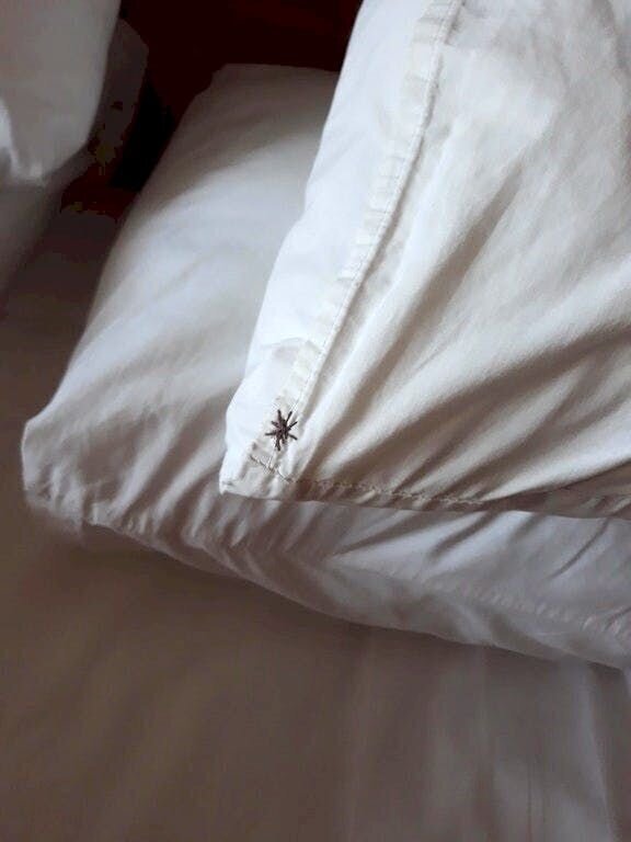 Работы дизайнеров, которые явно перестарались (15 фото)