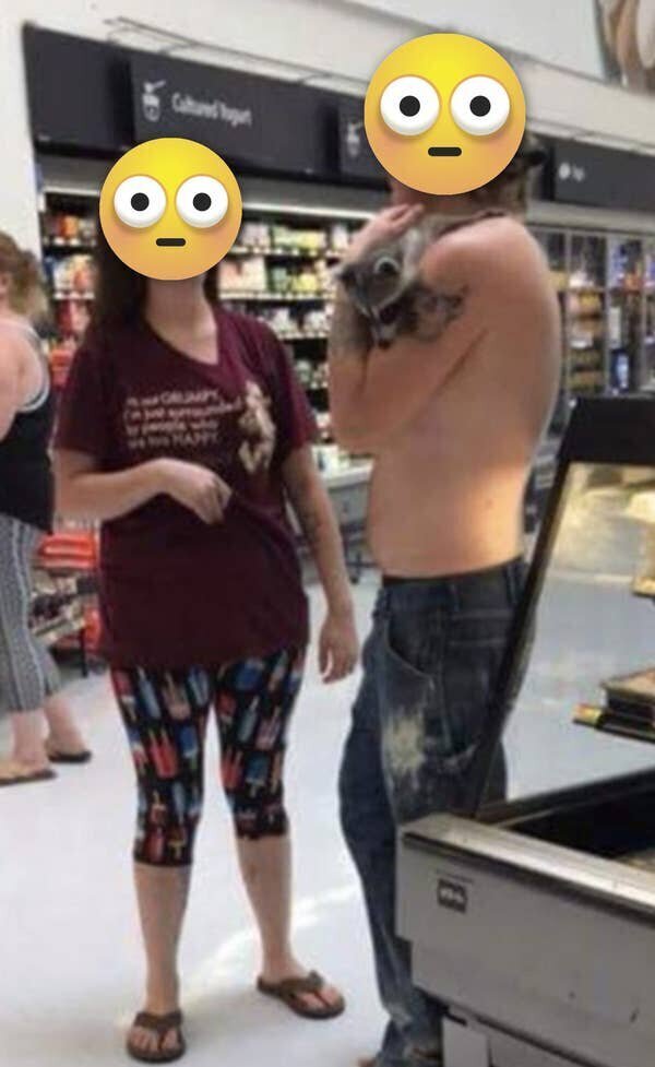 17 снимков, доказывающих, как хорошо сидеть дома! (18 фото) 17 снимков, доказывающих, как хорошо сидеть дома! (18 фото)