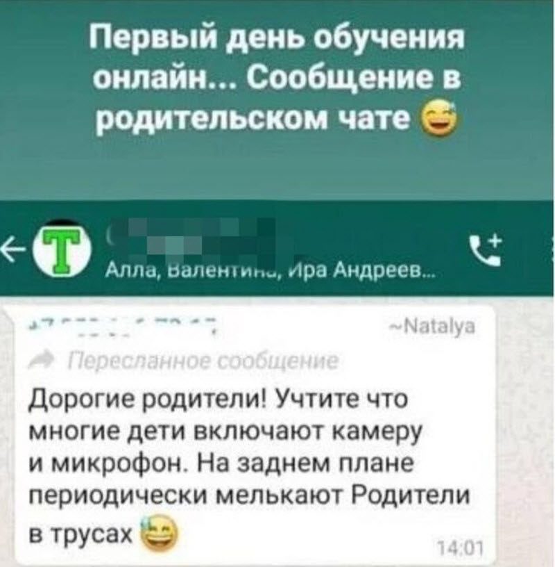 Мемы и шутки про дистанционное обучение (13 фото)