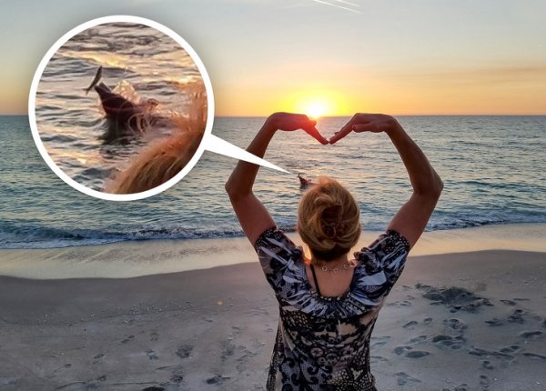 Снимки, сделанные в правильный момент (18 фото) Снимки, сделанные в правильный момент (18 фото)