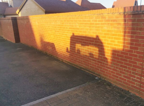 Снимки, сделанные в правильный момент (18 фото) Снимки, сделанные в правильный момент (18 фото)