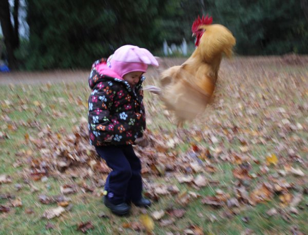 Снимки, сделанные в правильный момент (18 фото) Снимки, сделанные в правильный момент (18 фото)