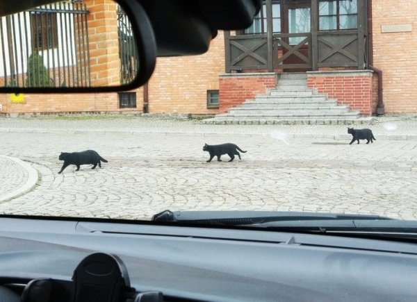 Подборка неожиданных совпадений (17 фото) Подборка неожиданных совпадений (17 фото)