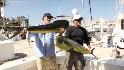 Подборка гифок с эпичными фейлами (15 гифок)