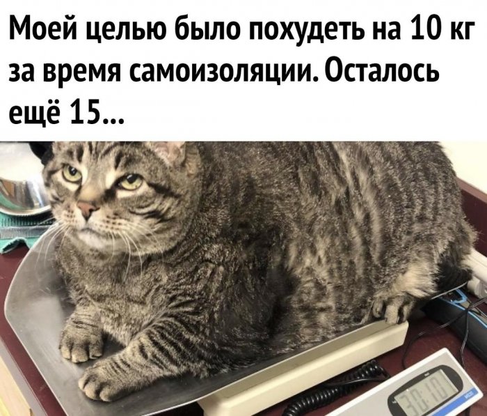 Приколы про коронавирус 2020 - мемы и картинки с надписями про COVID-19