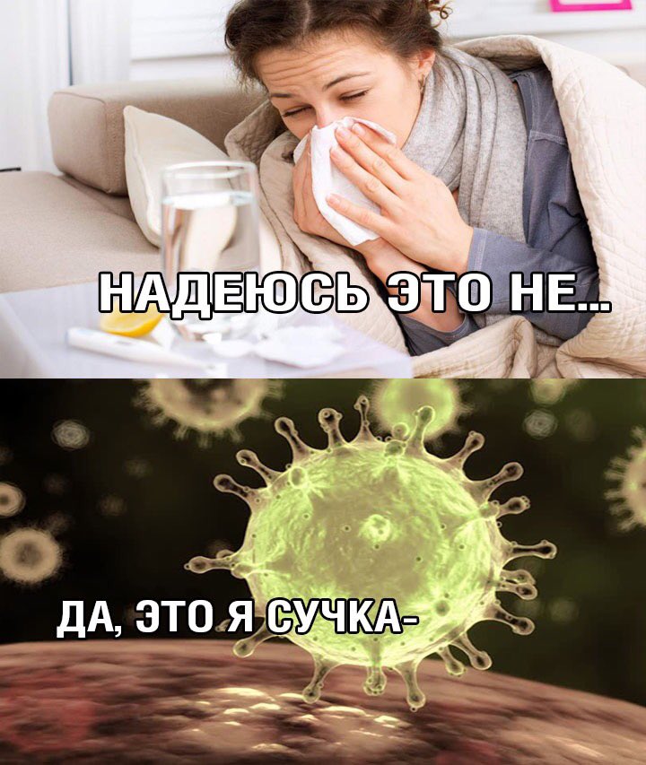 Приколы про коронавирус 2020 - мемы и картинки с надписями про COVID-19