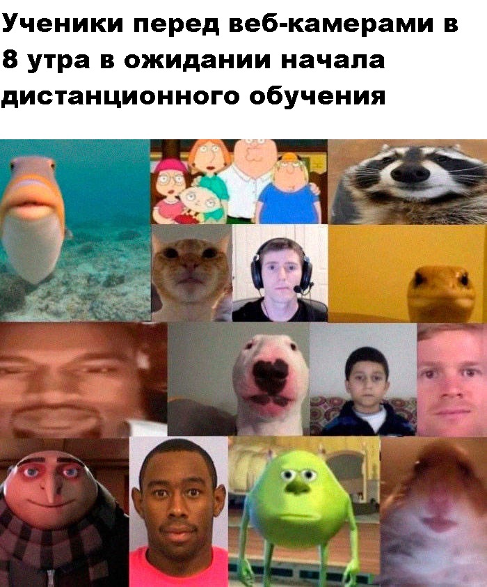 Приколы про коронавирус 2020 - мемы и картинки с надписями про COVID-19