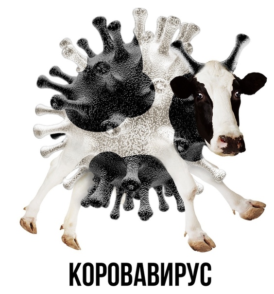 Приколы про коронавирус 2020 - мемы и картинки с надписями про COVID-19