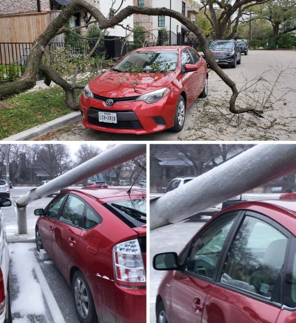 Подборка везунчиков, которые словили удачу за хвост (16 фото) Подборка везунчиков, которые словили удачу за хвост (16 фото)