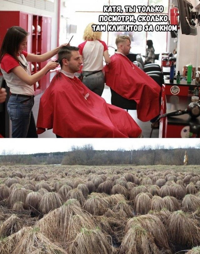 Удаленка, 5G и карантин: о чем шутят в Сети (15 фото)