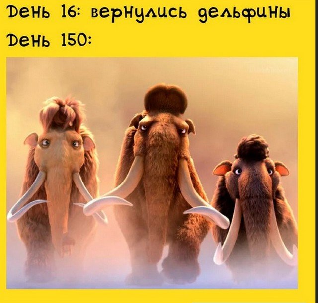 Майские праздники, карантин и коронавирус: о чем шутят в Сети (18 фото)