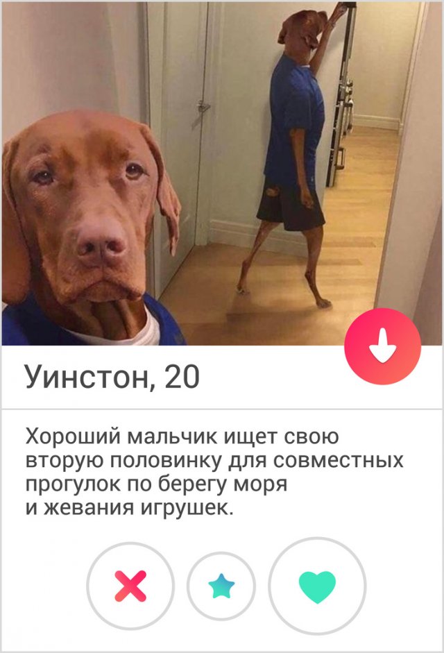 Забавные анкеты с сайта знакомств (16 фото)