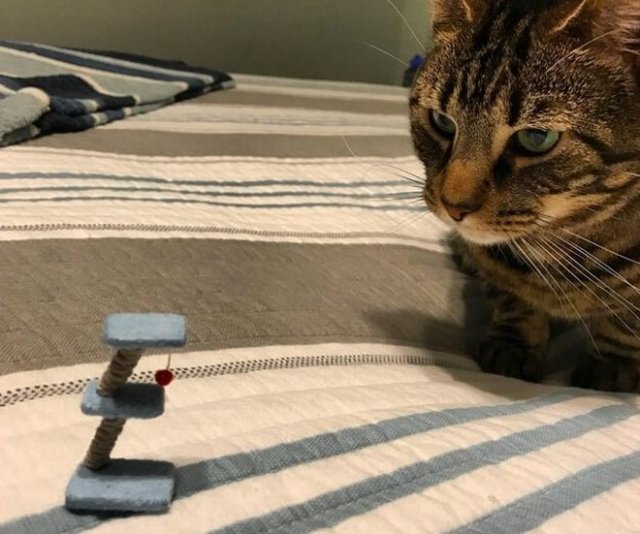 Фейлы с покупками онлайн (15 фото)