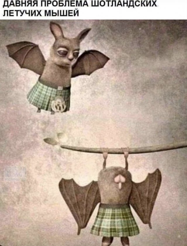 Удаленка, странные случаи и карантин: о чем шутят в Сети (14 фото)