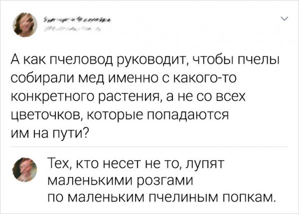 Подборка забавных комментариев с просторов Сети (15 фото)