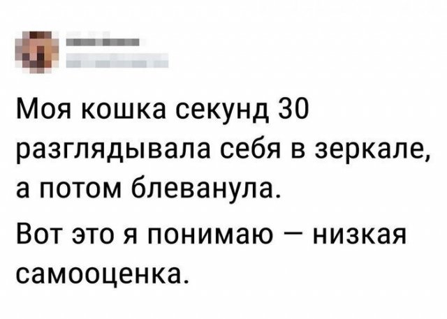 Шутки про заниженную самооценку (20 фото)