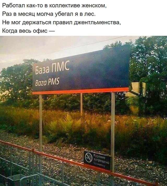 Подборка забавной поэзии с просторов Сети (19 фото)